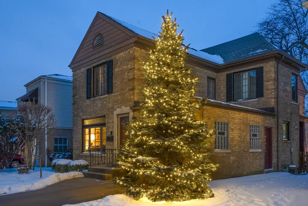 Large evergreen tree fully wrapped in warm white Christmas lights at dusk